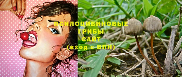 гидра Мегион