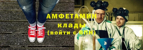 прущие грибы Абдулино